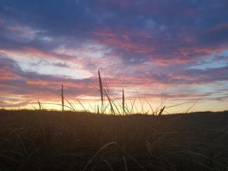 8 person holiday home in Vestervig-By Traum - 1