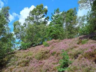 8 person holiday home in Gjern-By Traum - 4