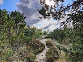 5 person holiday home in Snedsted - 1