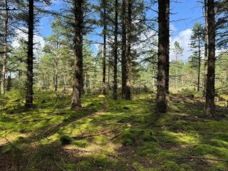 5 person holiday home in Snedsted - 1