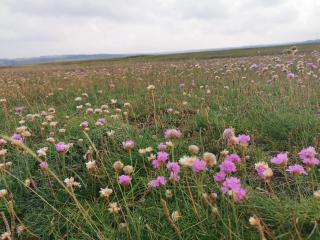 6 person holiday home in Lemvig-By Traum - 8