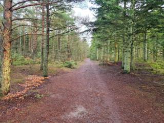 8 person holiday home in Ålbæk-By Traum - 1
