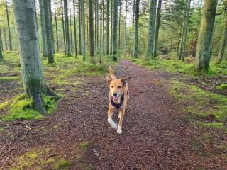 8 person holiday home in Ålbæk-By Traum - 3