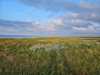 8 person holiday home in Ørsted - 8