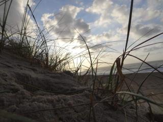 8 person holiday home in Harboøre-By Traum - 2