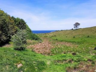 Secluded Haven on Fur - By Traum Ferienwohnungen - 4