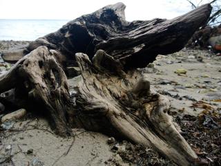 Seaside Bliss in Hejlsminde - By Traum Ferienwohnungen - 7