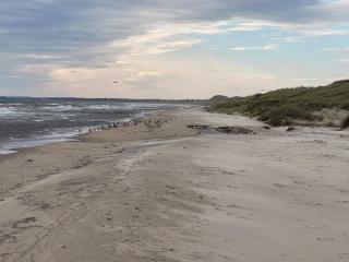 8 person holiday home in Ålbæk-By Traum - 4