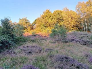 8 person holiday home in Gjern - 5