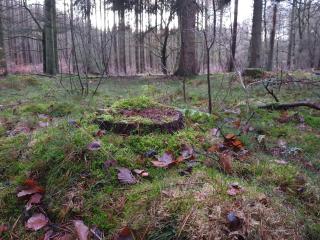 8 person holiday home in Gjern - 2