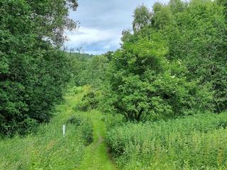 8 person holiday home in Gjern - 7