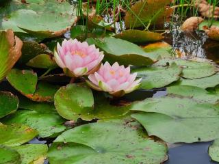 Luxury Retreat with Pool - By Traum Ferienwohnungen - 2