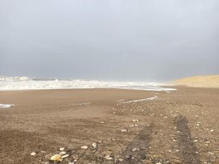 8 person holiday home in Ulfborg - 1