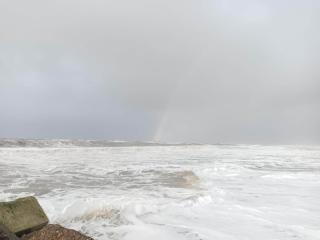 8 person holiday home in Ulfborg - 5