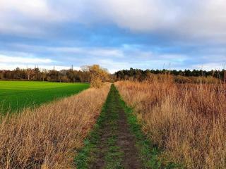 6 person holiday home in Grenaa - 8