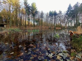 8 person holiday home in Vestervig-By Traum - 1