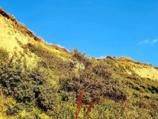 8 person holiday home in Vestervig-By Traum - 5