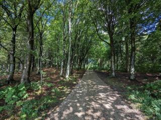 8 person holiday home in Vestervig-By Traum - 3