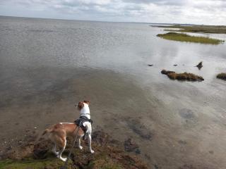 6 person holiday home in Ørsted-By Traum - 2