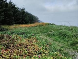 8 person holiday home in Thyholm-By Traum - 3