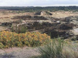 6 person holiday home in Henne-By Traum - 7