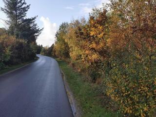 6 person holiday home in Henne-By Traum - 6