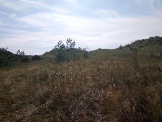 4 person holiday home in Læsø - 2