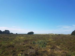 4 person holiday home in Læsø - 4