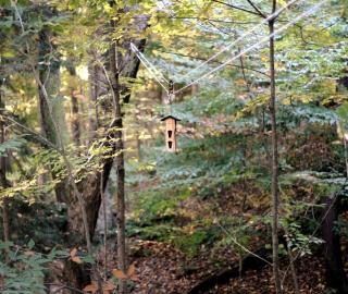Magical Tree House Rental in the Woods near Syracuse for Glamping in New York State - 7