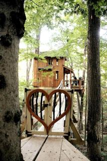 Magical Tree House Rental in the Woods near Syracuse for Glamping in New York State - 6