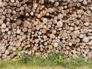 4 person holiday home in Læsø - 7