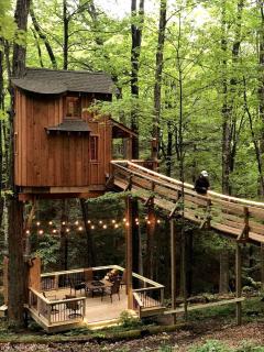 Magical Tree House Rental in the Woods near Syracuse for Glamping in New York State - 4