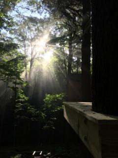 Magical Tree House Rental in the Woods near Syracuse for Glamping in New York State - 3