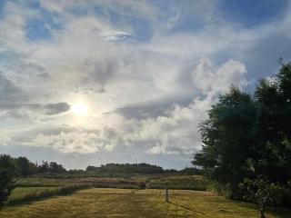 4 star holiday home in Hals - 1