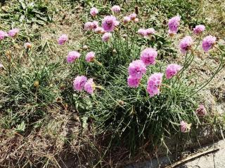 8 person holiday home in Ulfborg-By Traum - 4