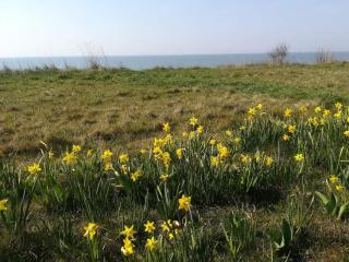 6 person holiday home in Gedser - 3