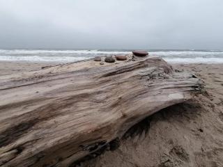 Panoramic Seaside Retreat - By Traum Ferienwohnungen - 5