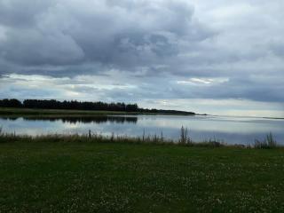 6 person holiday home in Ørsted-By Traum - 4