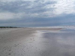 8 person holiday home in Oksbøl-By Traum - 6