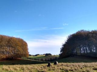 4 person holiday home in Østervrå-By Traum - 4