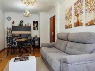 Confortable y luminoso apartamento - 7