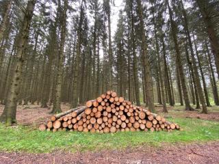 4 person holiday home in Østervrå-By Traum - 1