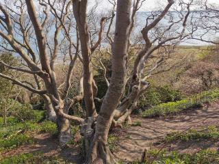 12 person holiday home in Ebeltoft-By Traum - 8