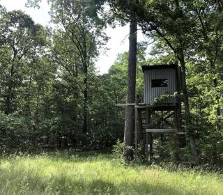 Cozy Cabin Rental near Ozark National Forest for a Relaxing Weekend Getaway in Arkansas - 5