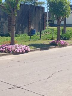 Rincón de sueños - 0