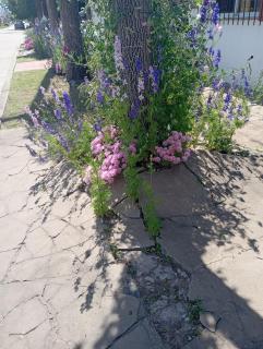 Rincón de sueños - 3