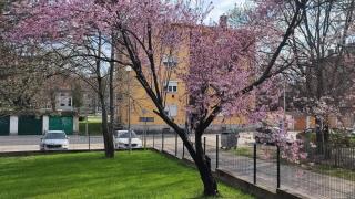 Fehérvár Cappuccino apartman City center, AC, Easy Parking - 9