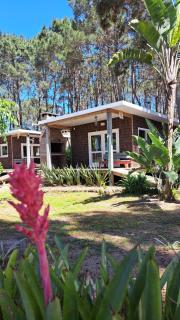 Pinocha Point Bungalows - 9