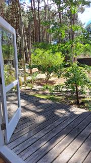 Pinocha Point Bungalows - 8