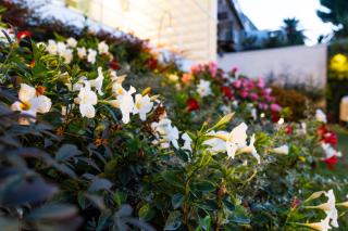 Dimora Botanica - Naples - 8